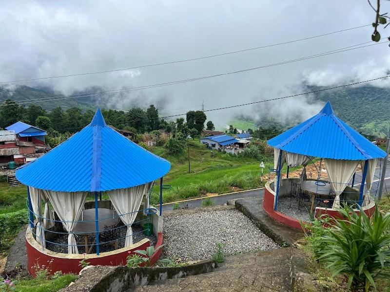Ảnh 5