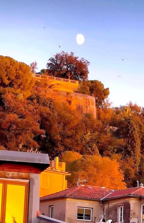 Old Town Rossetti Gem, Rooftop ,Waterfall view - 2