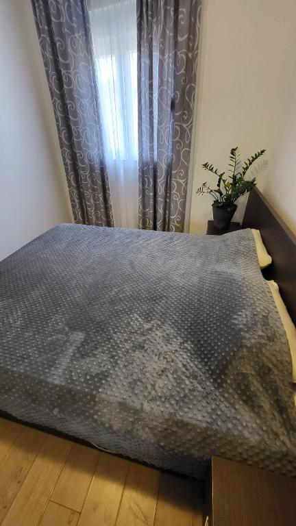 Cozy apartment, 200 m to the beach - 2