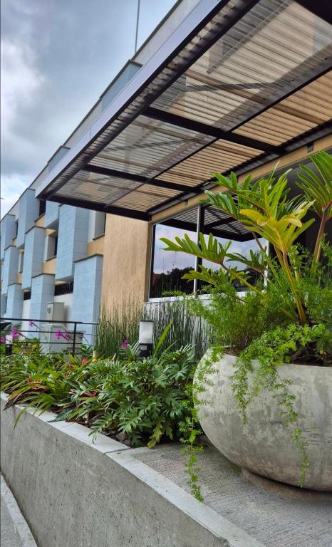 Apartamento en Armenia - Edificio Mediterráneo - Con Piscina - By Molca Travel - 3