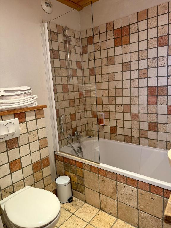 Le Galibier - Loft sous les toits au cœur de Briançon - 4