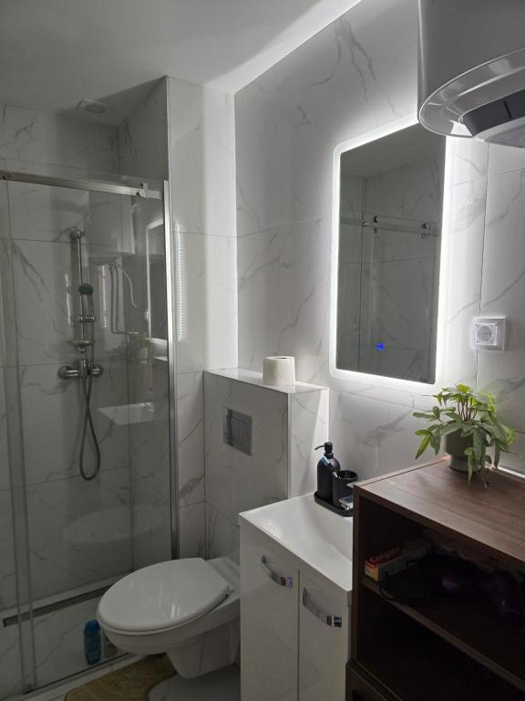 Lux apartman Mali Golubac - 5
