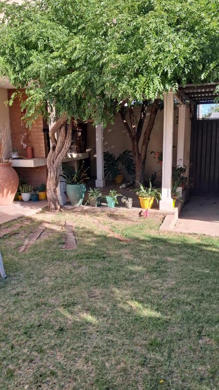 Departamento de los pájaros - 3