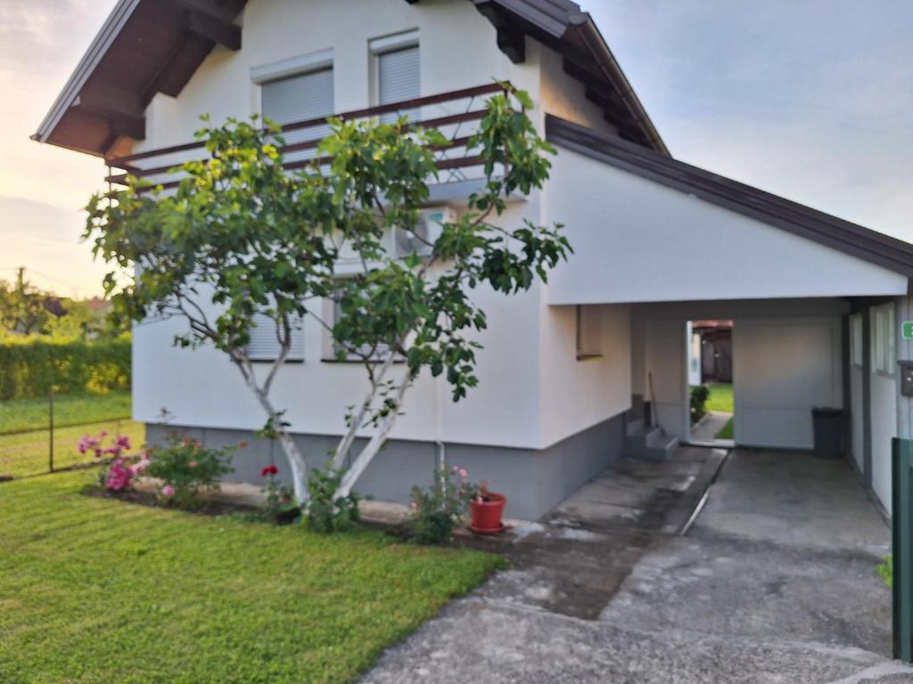 Vila Ajsa - 3
