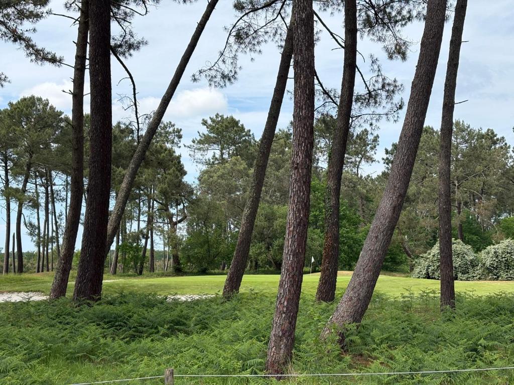 Maison avec vue Golf 8 pers avec Piscine - 2