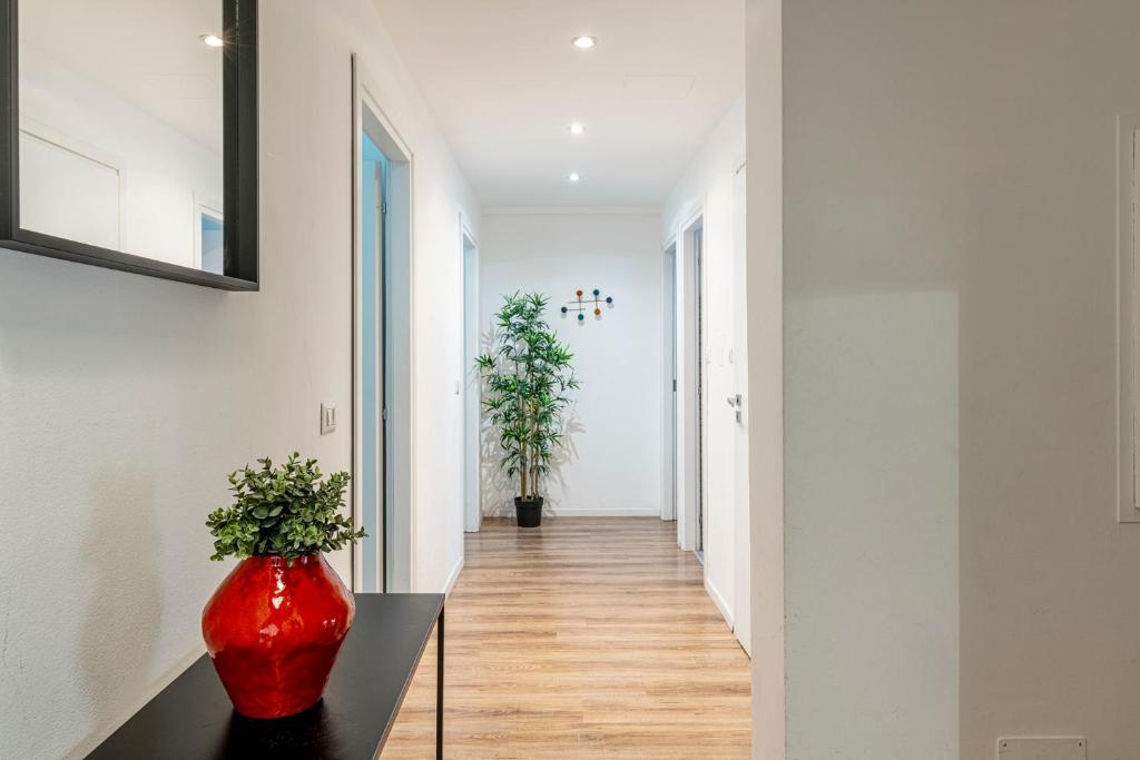 Luxury 4 bedrooms apartments Close to Duomo - 4