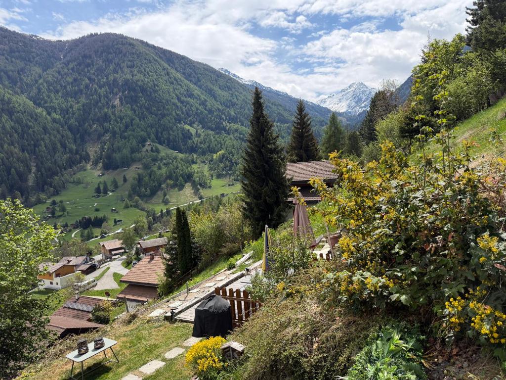 Chalet Opalpin Lodge & Spa, vue montagne et jacuzzi - 2