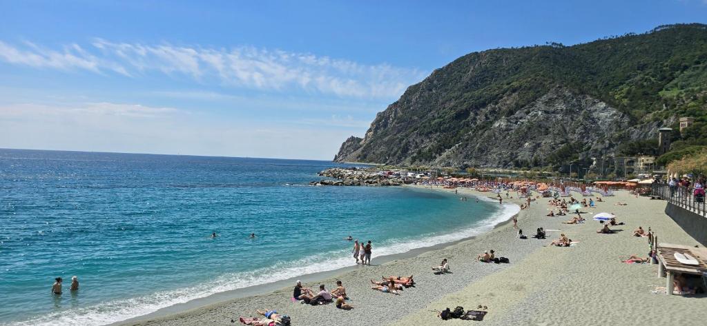 Monterosso - Apartment - 2