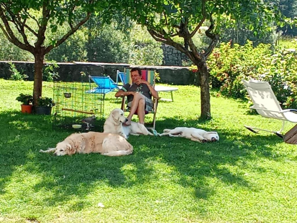 Il Giardino dell'Eden - 5