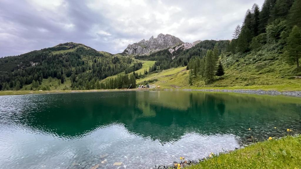 Sonnenalpe Nassfeld in 1500 m Höhe an der Skipiste - 3