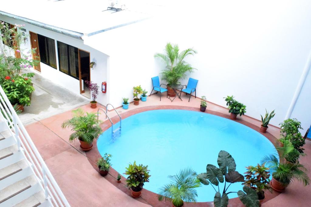 Hotel Jungle House photo