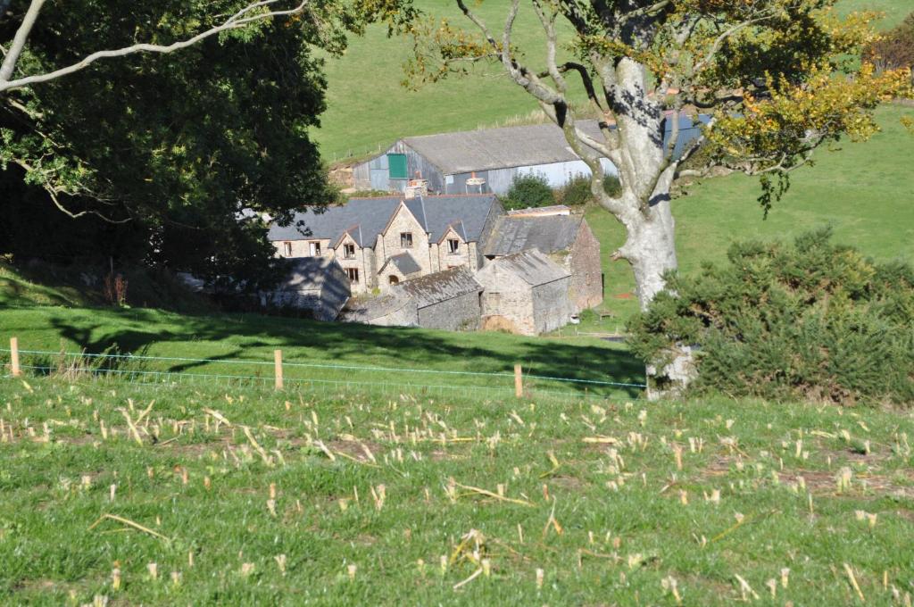 Coombe Farm photo