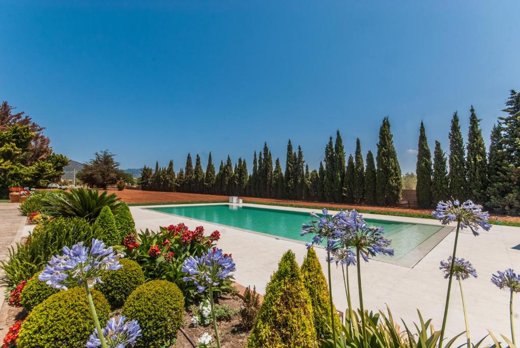 Villa Santa Maria Dreams photo