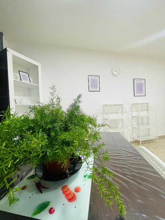 Alicante Family Home Stay PARKING - 3