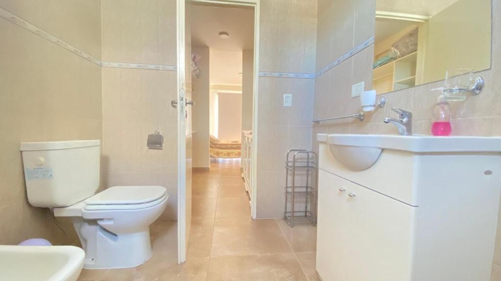 Apolo Suite - 4