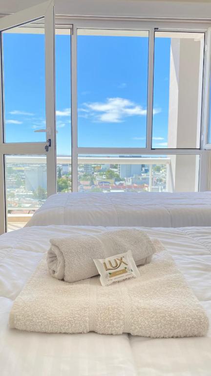 Apolo Suite - 1