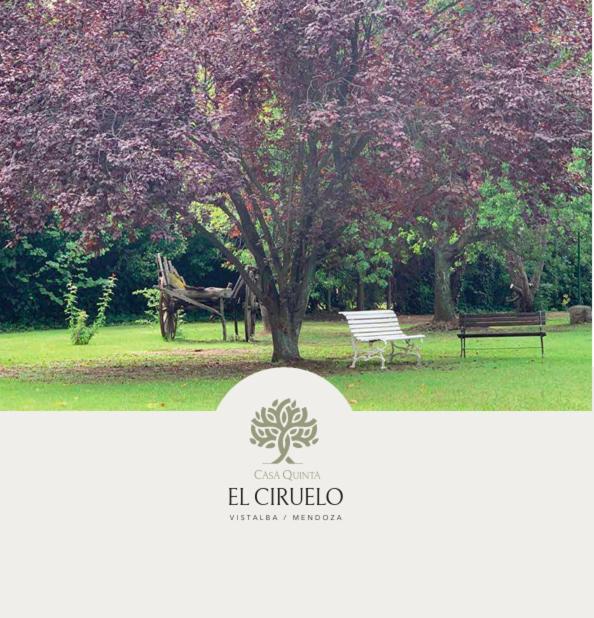 Casa quinta El ciruelo - 1
