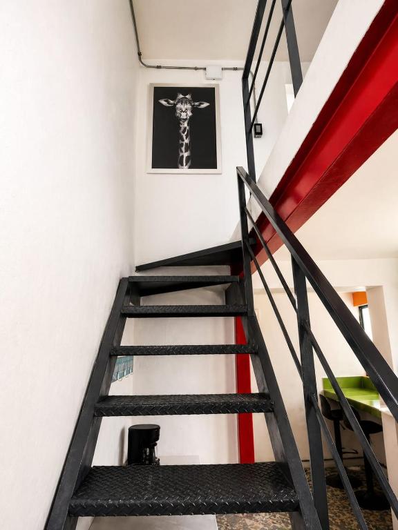 Loft acogedor en el centro de Guadalajara - 2