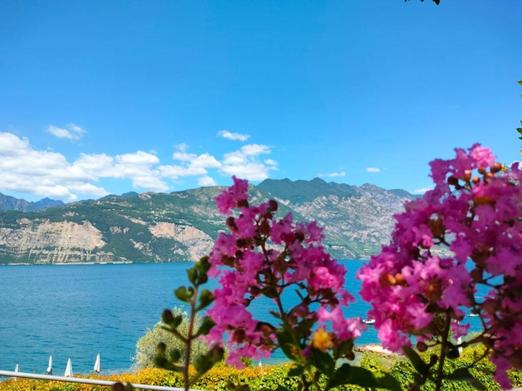 Appartamento Villa Edera - 1
