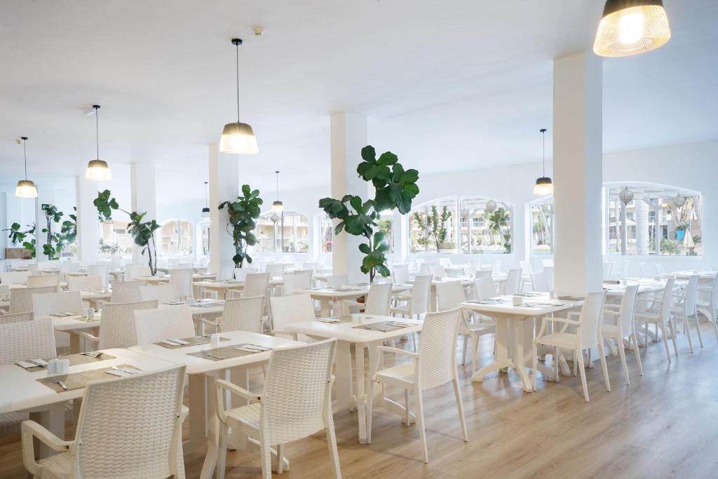 Hotel Drago Park by Pierre & Vacances — Restaurant & bars in Costa Calma, Canary Islands