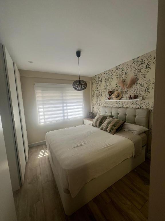 Casa Roa - 2