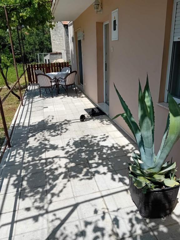Apartman Radović - 2