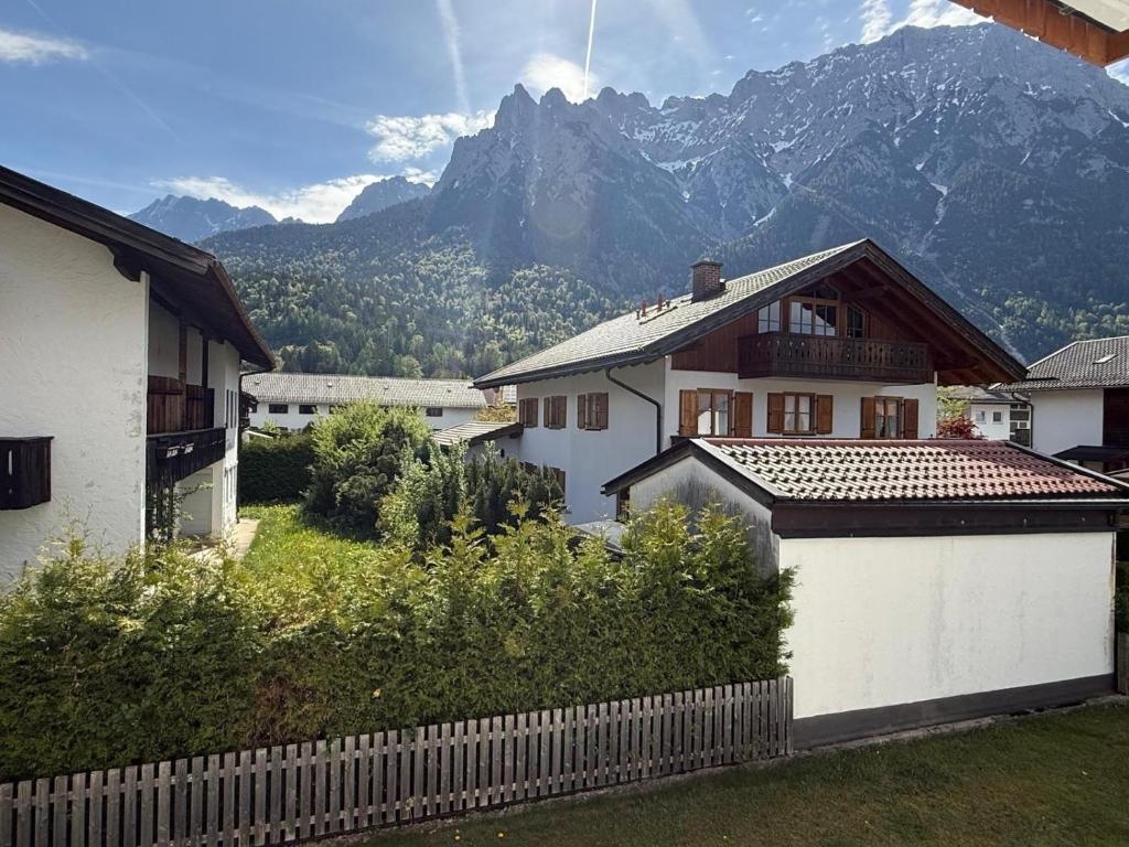 Alpensegler - 2