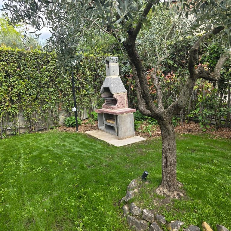 Casa Nido tra gli Ulivi - 4