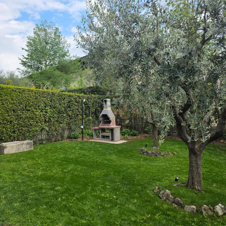 Casa Nido tra gli Ulivi - 3