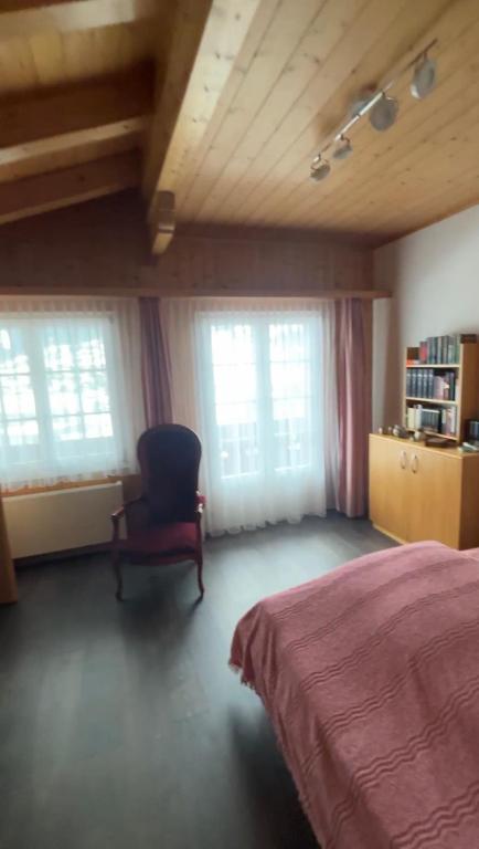 Chalet Amaryllis - Jungfrau View Apartment - 5