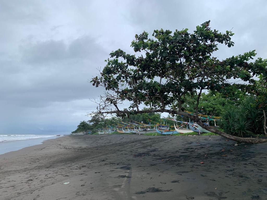 Great beach access