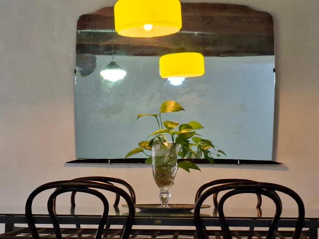 MontalciNest - 4