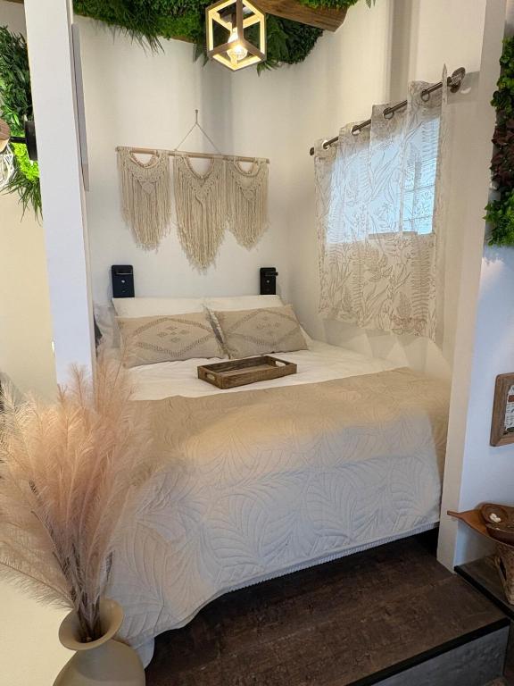 Studio Jungle atypique avec salle de bain grotte Cour privée Centre Nîmes - 3
