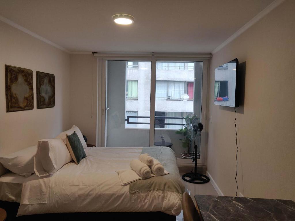 Relax and Enjoy the Best of Stgo Centro - 1
