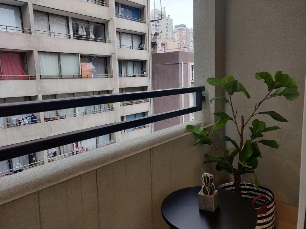 Relax and Enjoy the Best of Stgo Centro - 2