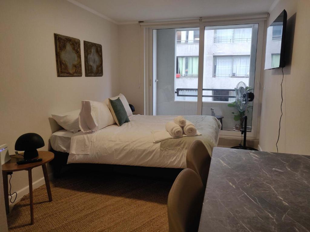 Relax and Enjoy the Best of Stgo Centro - 5
