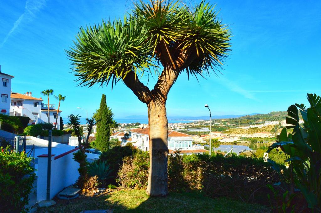 Stylish Holiday Apartment in Torrox Park with Sea View - 3