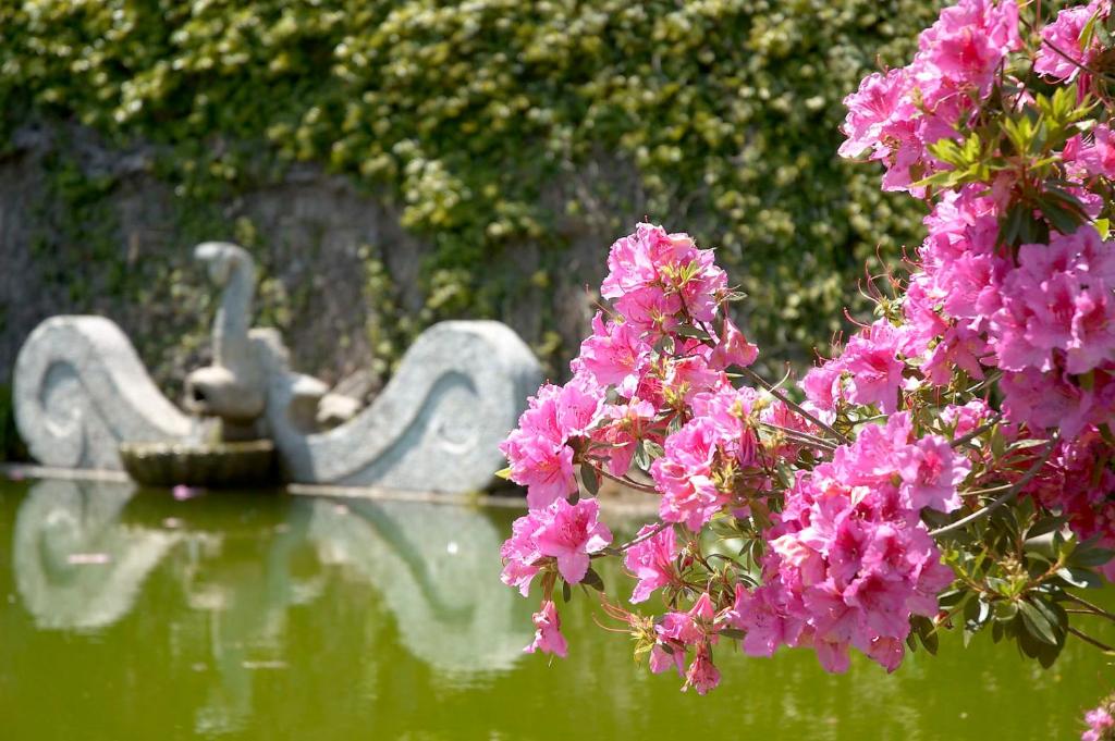 สวน