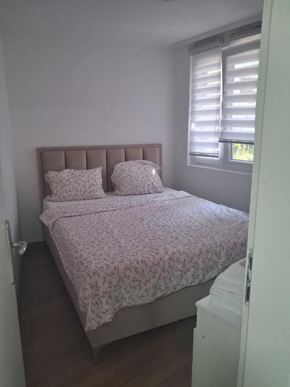 Apartment Cvetko - 1