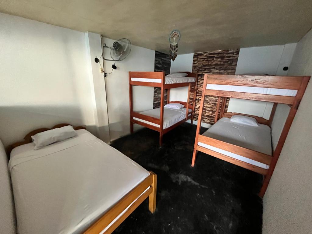Chacruna Hostel - 3