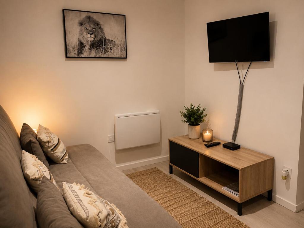 Escale sereine à Lourdes, appartement calme entre gare et sanctuaire à pied - 5