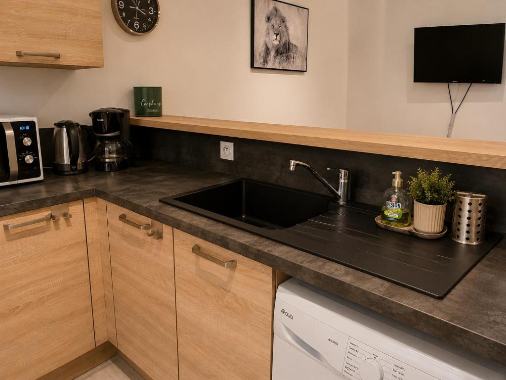 Lourdes en famille, appartement entre gare et sanctuaire à pied - 5