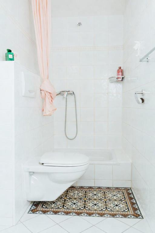 Beautiful apartment in Old Town Geneva - 5
