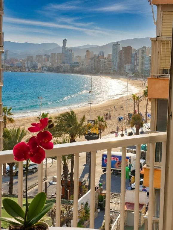 Carabelas 2 Benidorm - 1