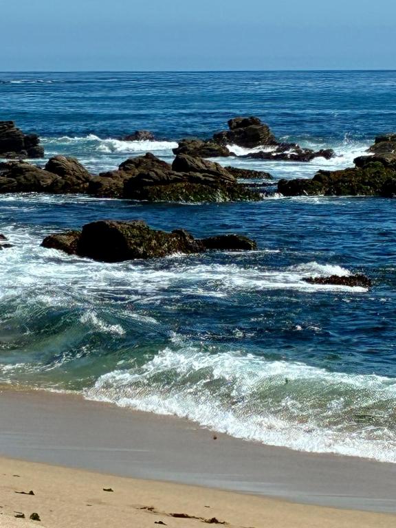 Las Sirenas Algarrobo - 1
