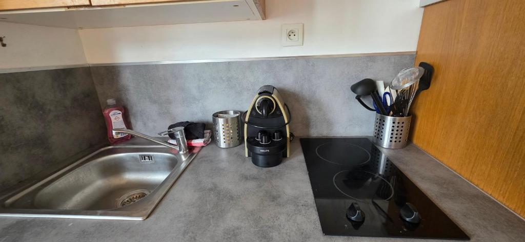 Grenoble Foch, 1bedroom apartment kitchen, unobstructed view, tram, train station, shops - 5