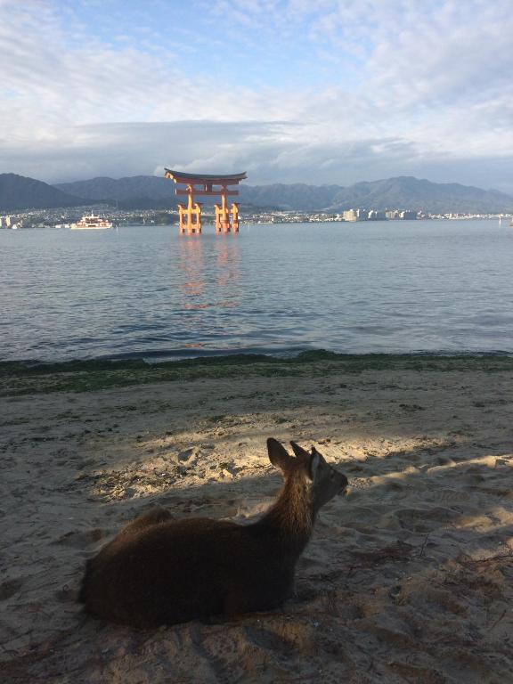 홀어스 료칸 히로시마 호텔 이미지 1