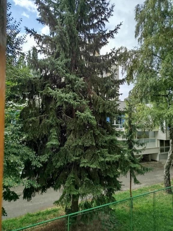 City Oasis Sarajevo - 5