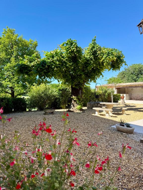 Liorelys in Provence Charming House with Pool - 4