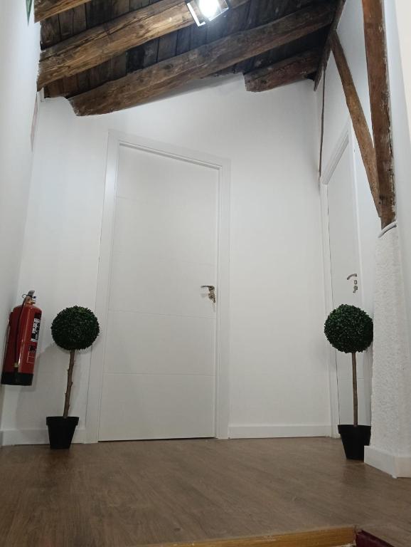 Apartamento Melisa Extra - 3